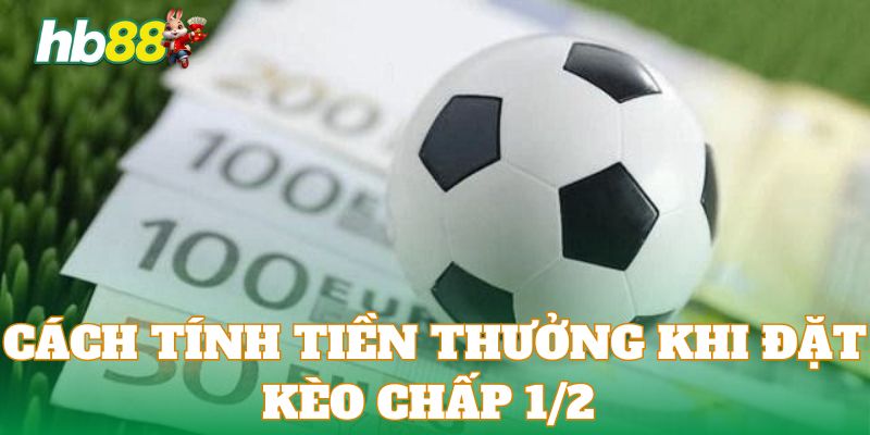 Hướng dẫn khách hàng cách tính tiền thưởng trong kèo chấp 1/2 