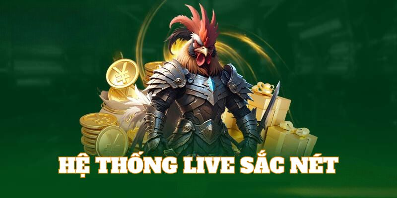 Hệ thống Live trận đấu sắc nét là ưu điểm của đá gà HB88